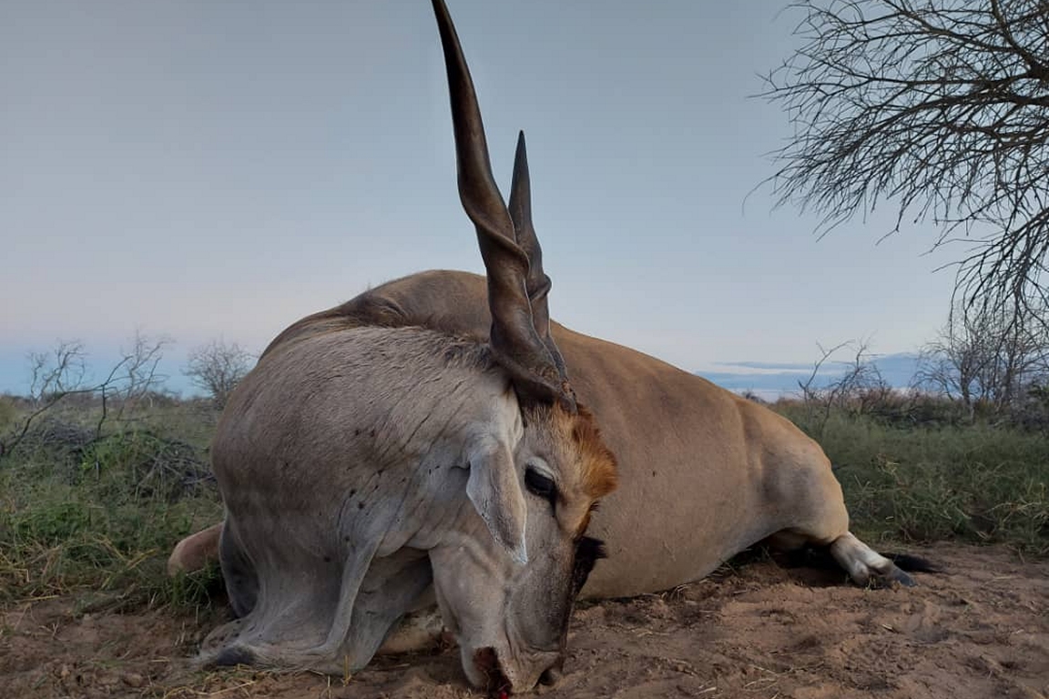 Malepartus Jagdreisen - Botswana