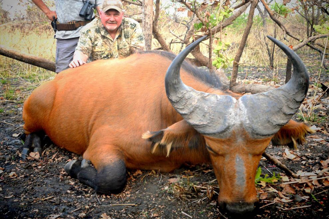 Malepartus Jagdreisen - Kamerun