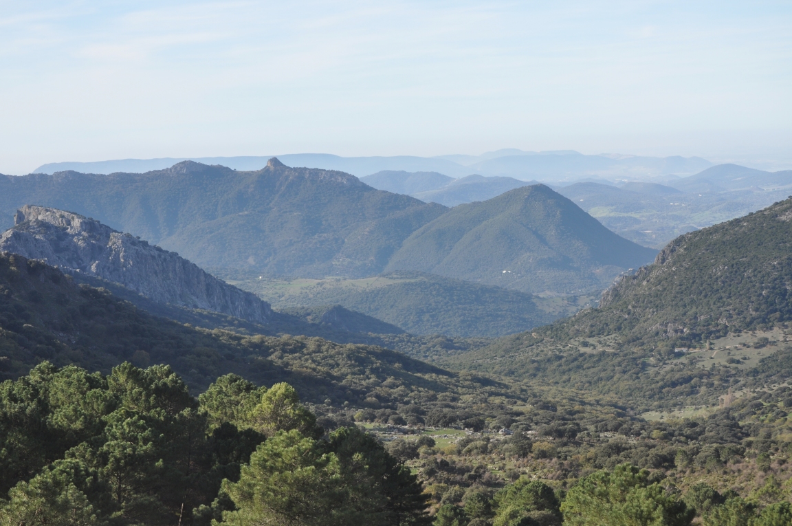 Malepartus Jagdreisen - Monteria in Spanien